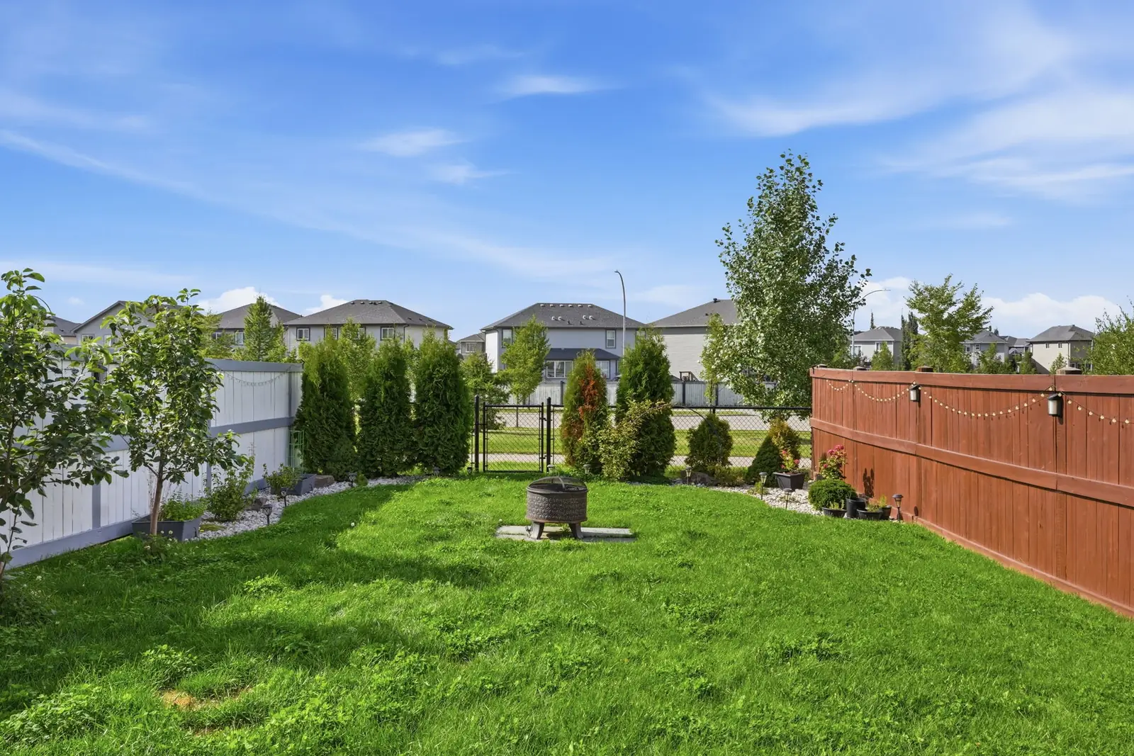 Fenced west-facing backyard with young fruit trees, fire pit and open greenspace beyond the fence